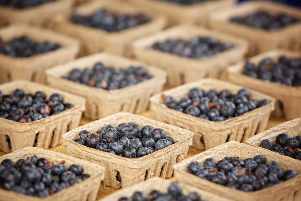 photo of blueberries