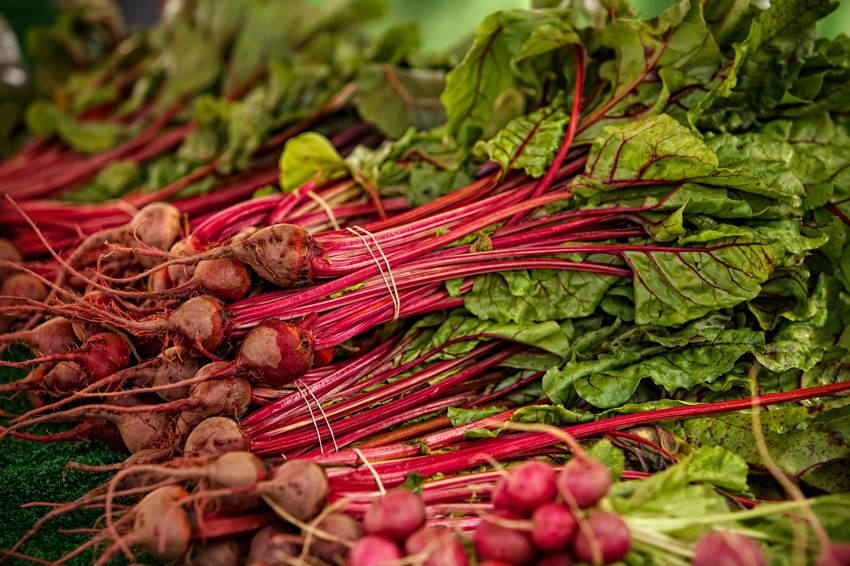 Radishes ready for shoppers